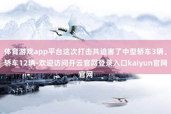 体育游戏app平台这次打击共迫害了中型轿车3辆、轿车12辆-欢迎访问开云官网登录入口kaiyun官网